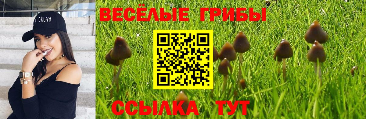 Галлюциногенные грибы Psilocybine cubensis Краснознаменск